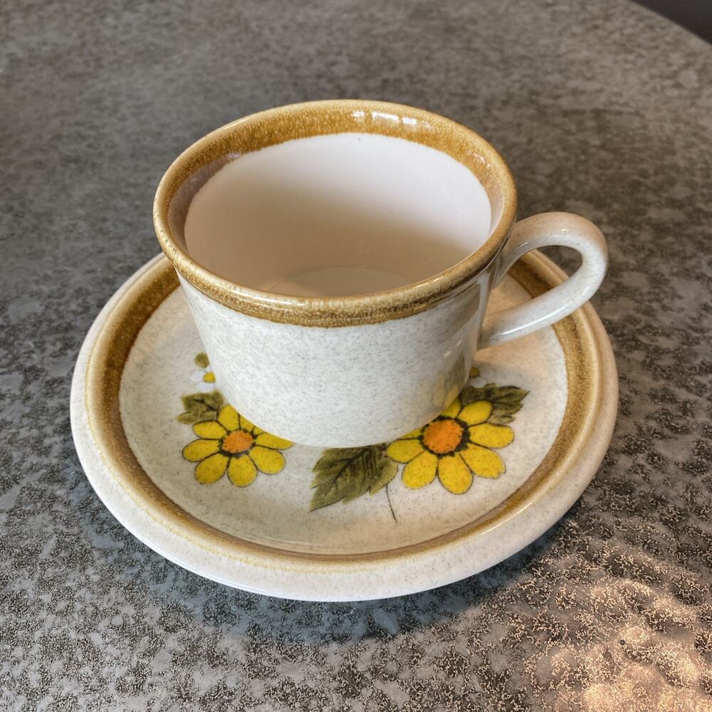 Set of Mikasa Stone Manor MELISSA F5811/F5800 1 Cup & 1 Saucers XLNT CONDITION